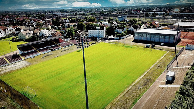 通过观察他 通过观察他