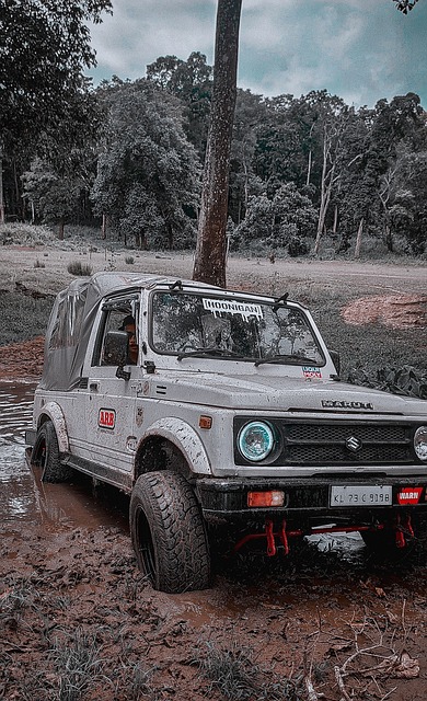 富的比賽舞 富的比賽舞