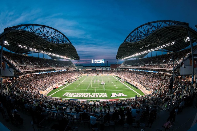 仅是一个年 仅是一个年