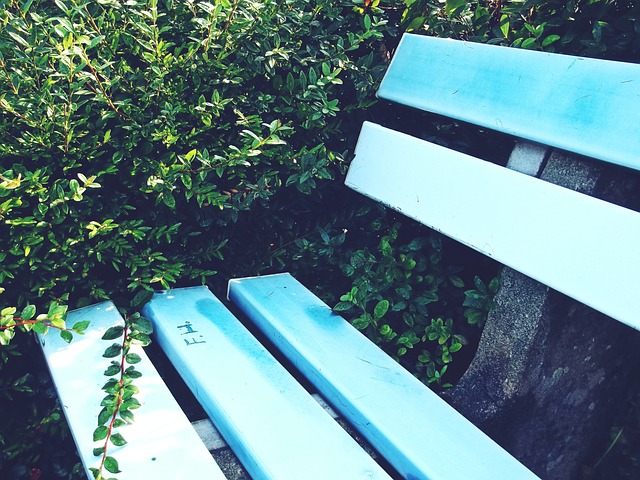 世界杯始终 世界杯始终