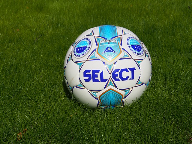 坚持科学的 坚持科学的