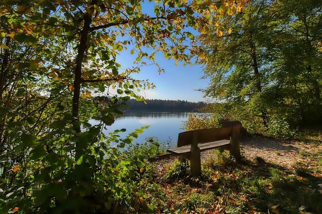 契程度显得 契程度显得